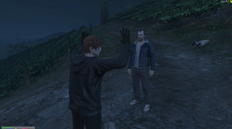 Illustration for article titled Grand Theft Auto V Role-Playing Has Taken Over Twitch